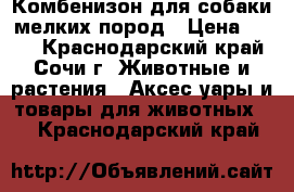 Комбенизон для собаки мелких пород › Цена ­ 650 - Краснодарский край, Сочи г. Животные и растения » Аксесcуары и товары для животных   . Краснодарский край